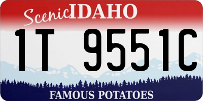 ID license plate 1T9551C