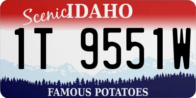 ID license plate 1T9551W