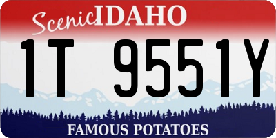 ID license plate 1T9551Y