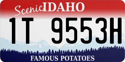 ID license plate 1T9553H