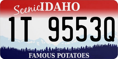 ID license plate 1T9553Q