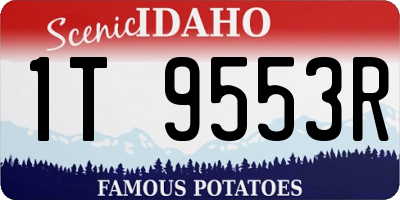 ID license plate 1T9553R