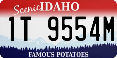 ID license plate 1T9554M