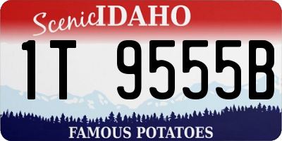 ID license plate 1T9555B