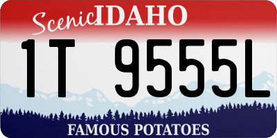 ID license plate 1T9555L