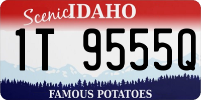 ID license plate 1T9555Q