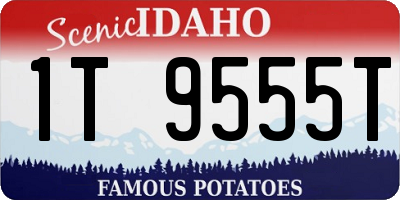 ID license plate 1T9555T