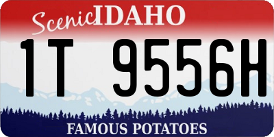 ID license plate 1T9556H