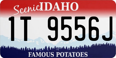 ID license plate 1T9556J