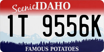 ID license plate 1T9556K