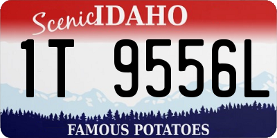 ID license plate 1T9556L