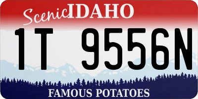 ID license plate 1T9556N