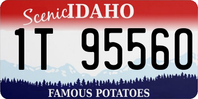 ID license plate 1T9556O