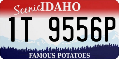 ID license plate 1T9556P