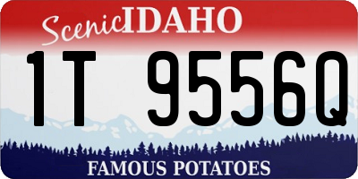 ID license plate 1T9556Q