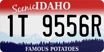 ID license plate 1T9556R