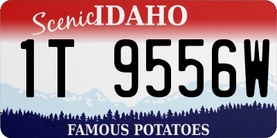 ID license plate 1T9556W