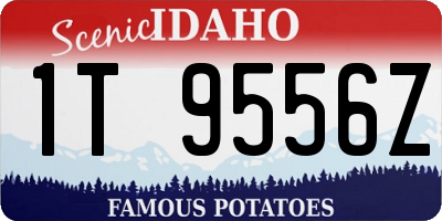 ID license plate 1T9556Z
