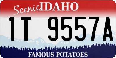 ID license plate 1T9557A