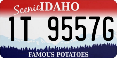 ID license plate 1T9557G