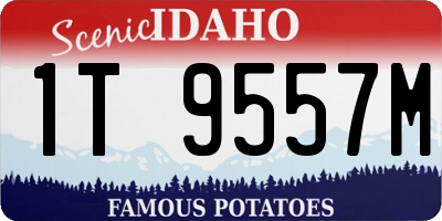 ID license plate 1T9557M