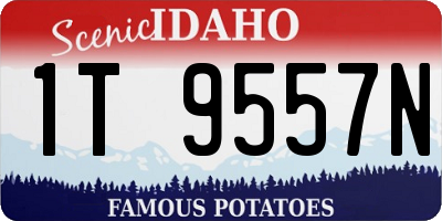 ID license plate 1T9557N