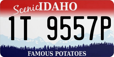 ID license plate 1T9557P