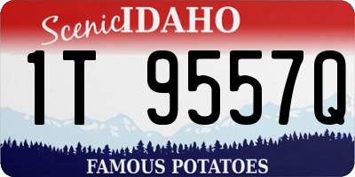 ID license plate 1T9557Q