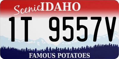 ID license plate 1T9557V