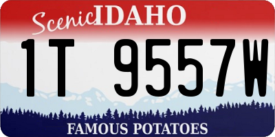 ID license plate 1T9557W