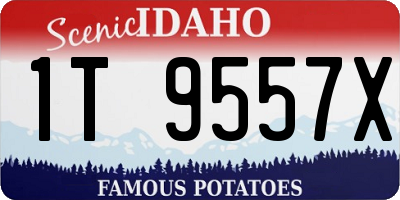 ID license plate 1T9557X