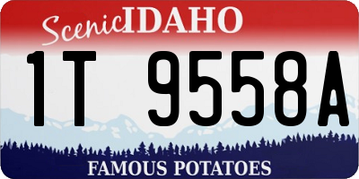 ID license plate 1T9558A