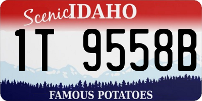 ID license plate 1T9558B