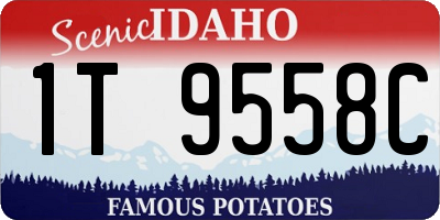 ID license plate 1T9558C