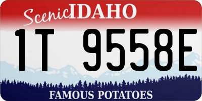 ID license plate 1T9558E