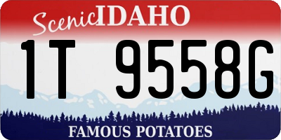 ID license plate 1T9558G
