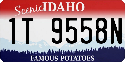 ID license plate 1T9558N