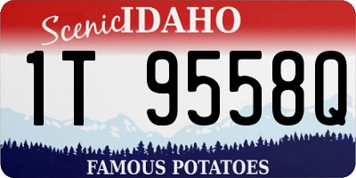 ID license plate 1T9558Q