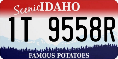 ID license plate 1T9558R