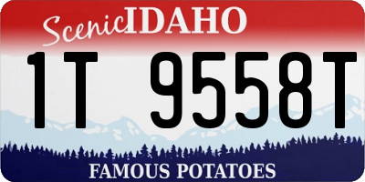 ID license plate 1T9558T