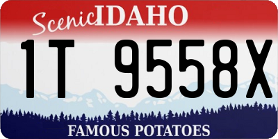 ID license plate 1T9558X