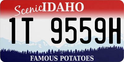 ID license plate 1T9559H