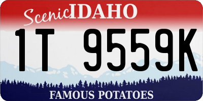 ID license plate 1T9559K
