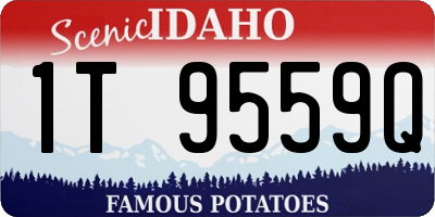 ID license plate 1T9559Q