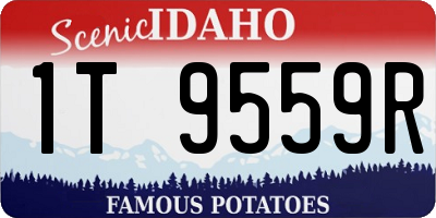 ID license plate 1T9559R