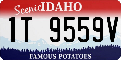 ID license plate 1T9559V