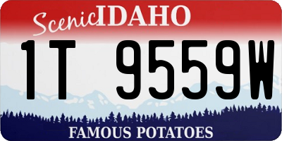 ID license plate 1T9559W