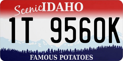 ID license plate 1T9560K