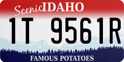 ID license plate 1T9561R