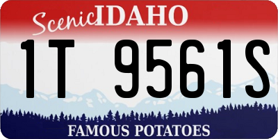 ID license plate 1T9561S